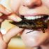 36 scarafaggi vivi in 60 secondi!