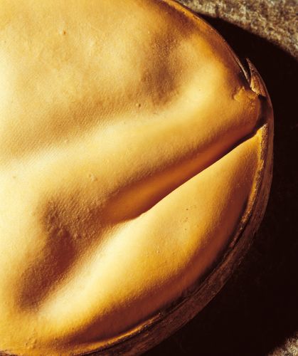 Formaggio a pasta molle grigliato