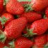 Le fragole