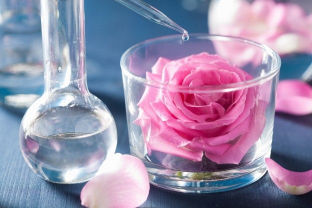 l'effetto curativo delle rose