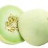 MELONE CANTALUPO O MELONE VERDE?