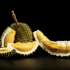 Durian fruit