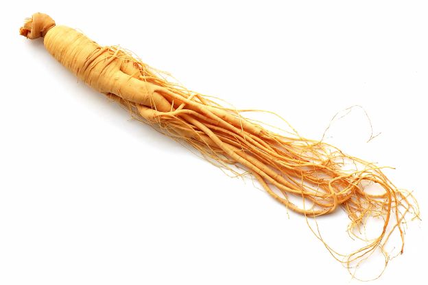 Il ginseng