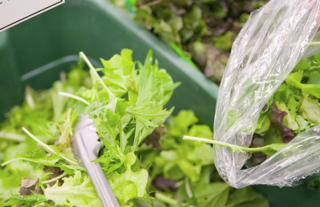 Maltrattare le foglie d'insalata