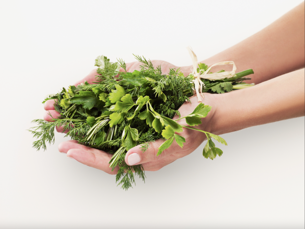 Le qualità delle erbe e delle spezie