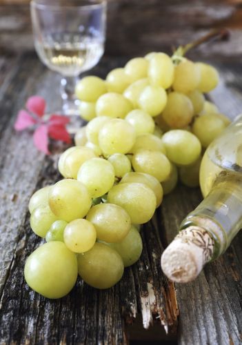 Liquore all'uva bianca