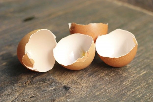 Riciclare i gusci delle uova