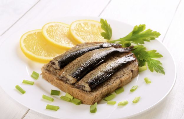 Sardine