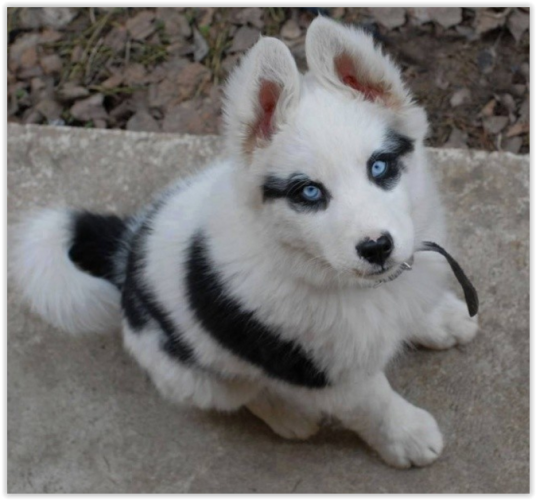 Degli occhiali da vista?