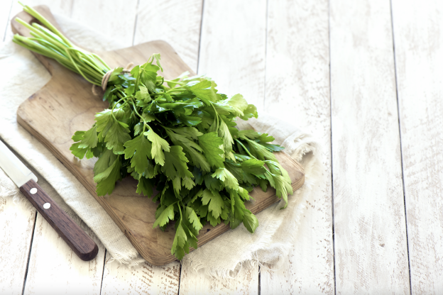 Mantieni le erbe fresche