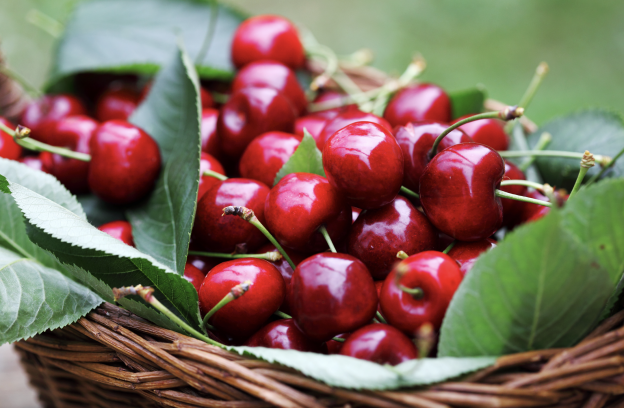 Ciliegie snocciolate con una bottiglia di birra