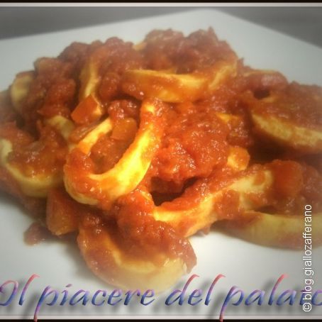 Calamari alla provenzale