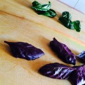 Panini al basilico - Tappa 1