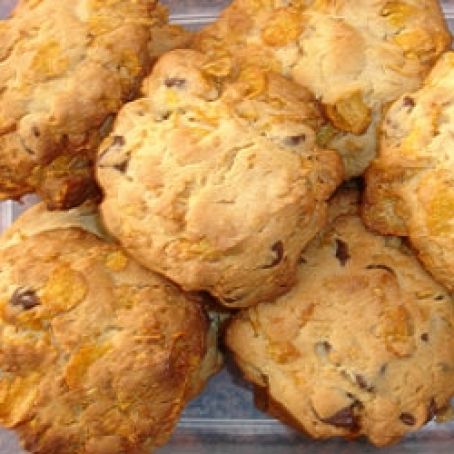 Roselline del deserto