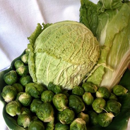 CAVOLINI DI BRUXELLES vs RADICCHIO DOTT'OLIO