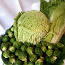 CAVOLINI DI BRUXELLES vs RADICCHIO DOTT'OLIO