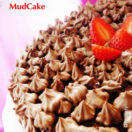 Mudcake