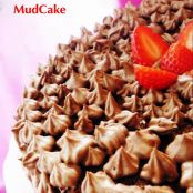 Mudcake