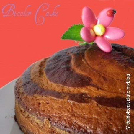 BICOLOR CAKE
