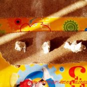 RAVIOLI DI MONTAGNA - Tappa 5