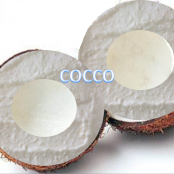 gelato al cocco