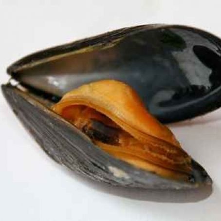 Farfalle cozze, zafferano e peperoni