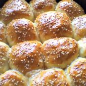 Danubio salato - Tappa 7