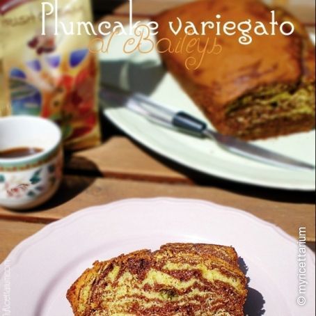 Plumcake variegato al Baileys