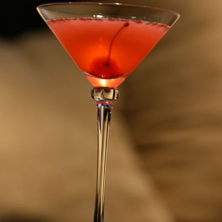 Cocktail Rose