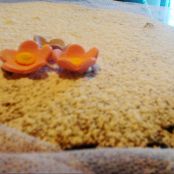 Torta ipocalorica - Tappa 3