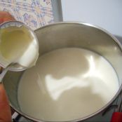 Yogurt - Tappa 1