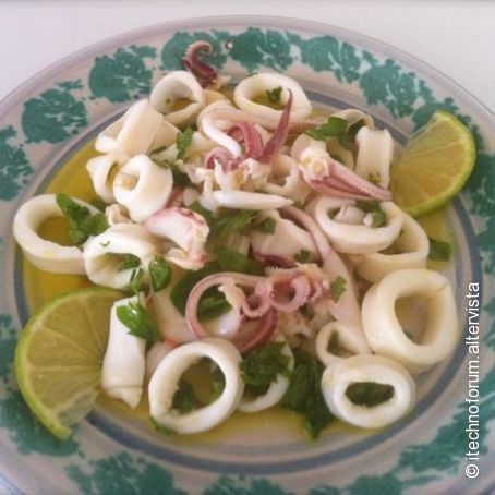 Insalata di calamari