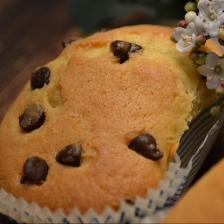 PLUMCAKE PIOGGIA DI CIOCCOLATO