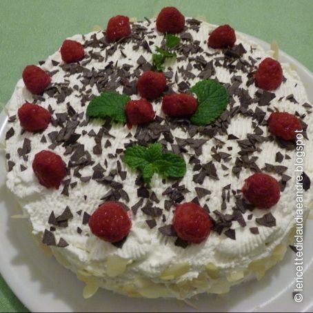 TORTA CIOCCO CREMA E LAMPONI (senza uova e grassi)