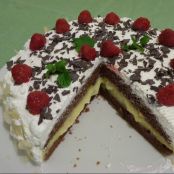 TORTA CIOCCO CREMA E LAMPONI (senza uova e grassi) - Tappa 1