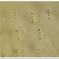 Pasta sfoglia per pizza o rustico