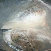 Insalata di salmone con crema di avocado - Tappa 1