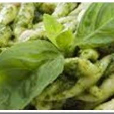 Pesto alla genovese cremoso