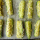 Bastoncini di zucchine al forno e dip di cipolla