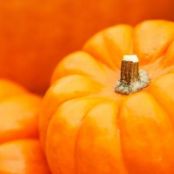 Marmellata di zucca e arancia