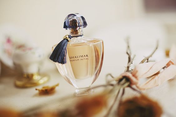 SEDUZIONE: I PROFUMI che fanno IMPAZZIRE gli UOMINI