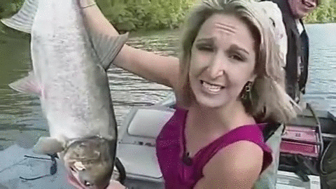 20 ASSURDITÀ in diretta TV