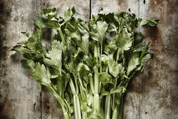 Tre giorni di detox per ripartire in formissima