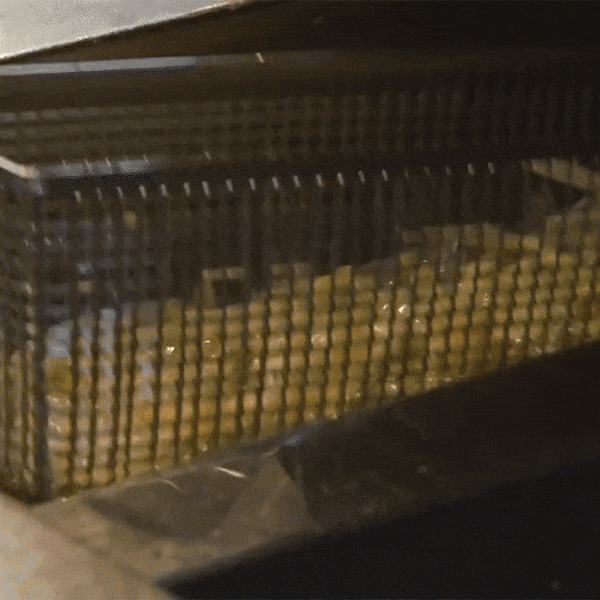 Sulla tortura quotidiana...